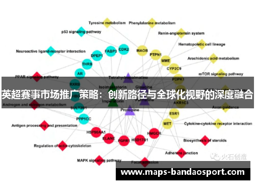 英超赛事市场推广策略：创新路径与全球化视野的深度融合