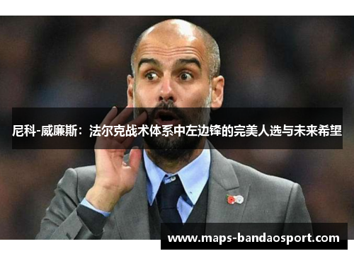 尼科-威廉斯：法尔克战术体系中左边锋的完美人选与未来希望