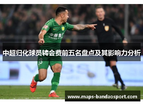 中超归化球员转会费前五名盘点及其影响力分析