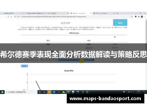 希尔德赛季表现全面分析数据解读与策略反思