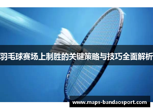 羽毛球赛场上制胜的关键策略与技巧全面解析