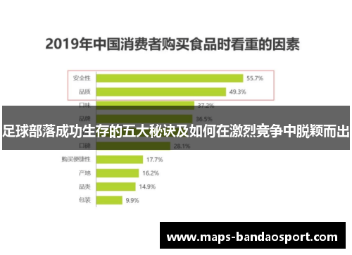 足球部落成功生存的五大秘诀及如何在激烈竞争中脱颖而出
