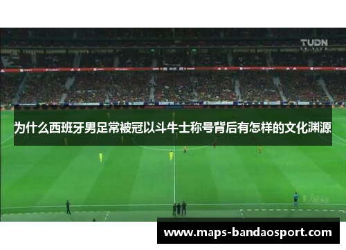 为什么西班牙男足常被冠以斗牛士称号背后有怎样的文化渊源