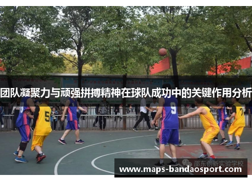 团队凝聚力与顽强拼搏精神在球队成功中的关键作用分析 团队凝聚力与顽强拼搏精神在球队成功中的关键作用分析