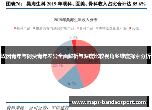 埃因青年与阿贾青年差异全面解析与深度比较视角多维度探索分析 埃因青年与阿贾青年差异全面解析与深度比较视角多维度探索分析