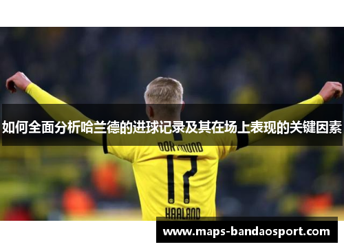 如何全面分析哈兰德的进球记录及其在场上表现的关键因素
